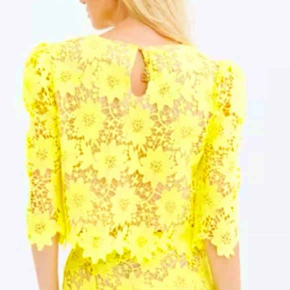 Fracomina Italian Brand Lace Cropped Top Neon Green Size Small - Picture 3 of 9